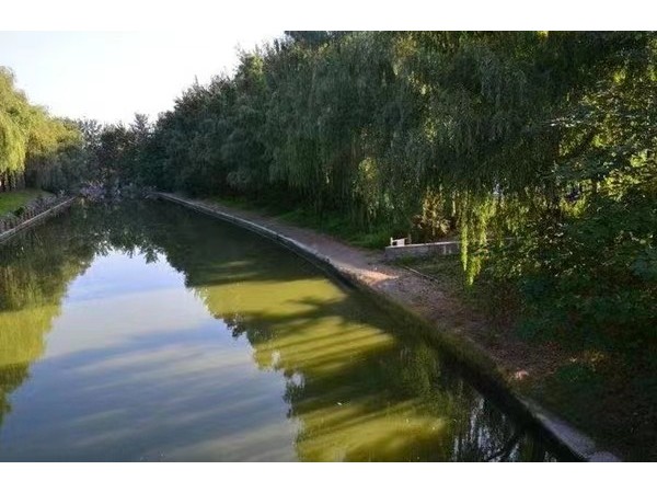 保護你的安全! 河岸防溺水監控系統來啦!