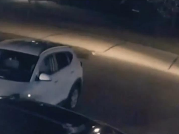 車載視頻監控系統