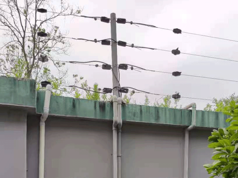 漲知識：電子圍欄系統的分類及功能，你知道嗎？