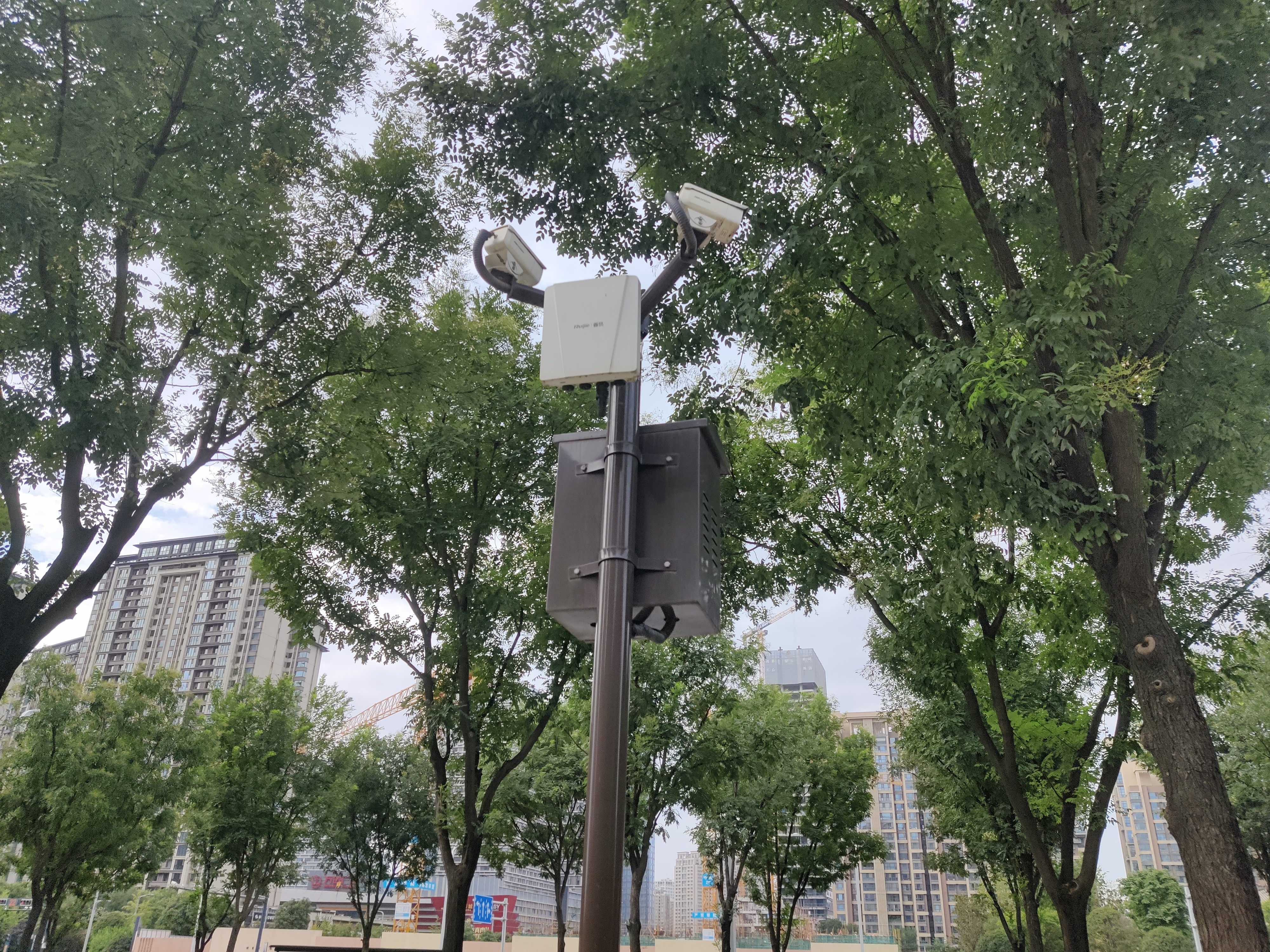 自然景區如何用AI視頻分析報警系統管理？