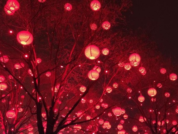 陜西鑫安安防祝您和家人：元宵節快樂，月圓人圓家更圓