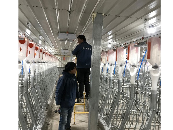 陜西鑫安安防養(yǎng)豬場(chǎng)視頻監(jiān)控系統(tǒng)