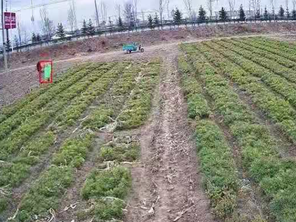 樹苗基地安防監控系統